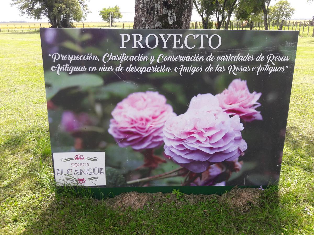Estancia El Cangue Porvenir Bagian luar foto