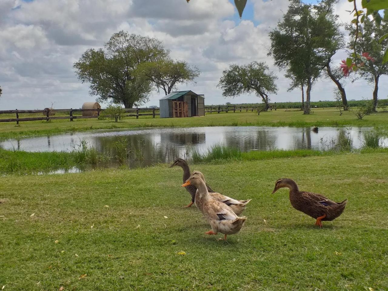 Estancia El Cangue Porvenir Bagian luar foto